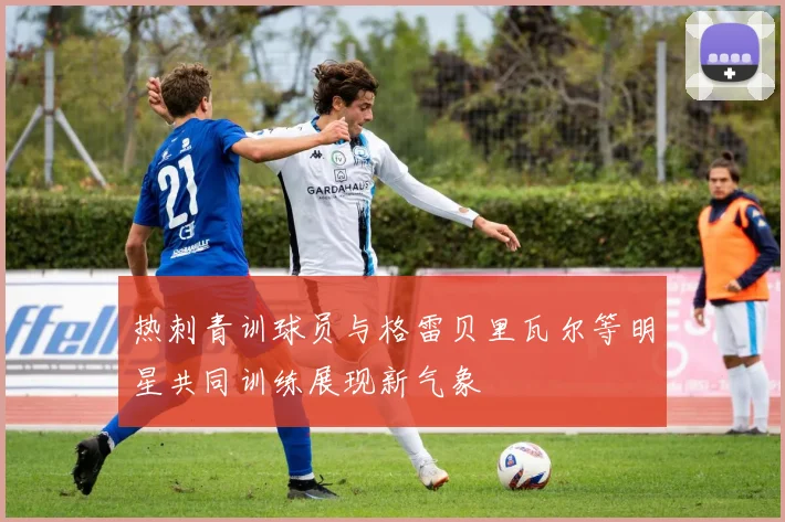 热刺青训球员与格雷贝里瓦尔等明星共同训练展现新气象